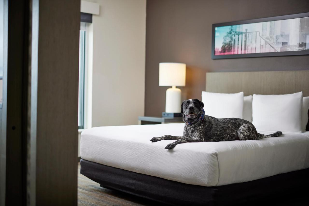 Hyatt House Denver/Downtown Bagian luar foto