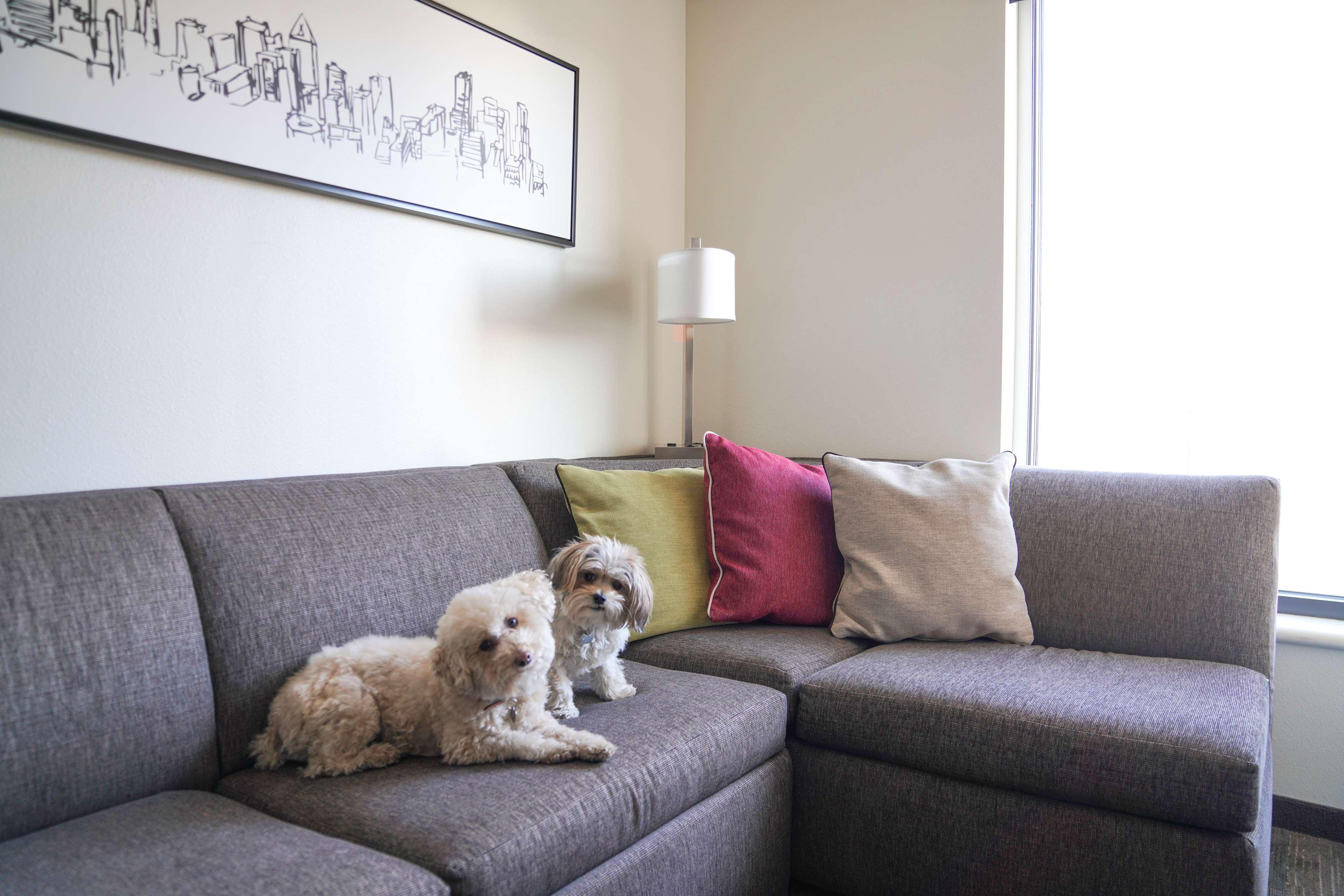 Hyatt House Denver/Downtown Bagian luar foto